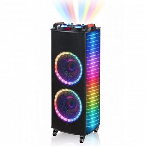 Портативная колонка Portable Wireless Karaoke NDR-1010S 100W