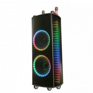 Портативная колонка Portable Wireless Karaoke NDR-1010S 100W