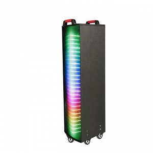 Портативная колонка Portable Wireless Karaoke NDR-1010S 100W