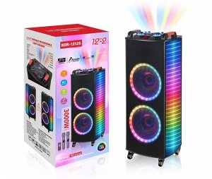 Портативная колонка Portable Wireless Karaoke NDR-1010S 100W