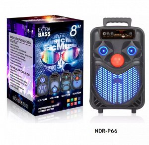 Портативная колонка Extra Bass Speaker NDR-P66 15W