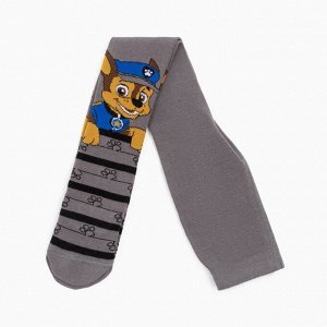 Колготки PAW PATROL «Гончик», цвет серый