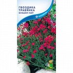 Гвоздика травянка Флэшинг Лайт (П)