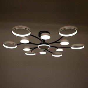 Люстра с ПДУ 2299/13WT LED 256Вт 3000-6000К белый 106х106х18 см