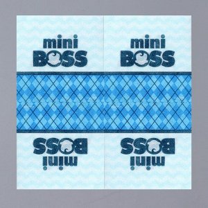 Салфетки бумажные "Mini Boss", 24х24 см, 20 шт