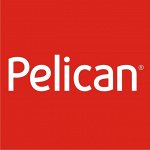 PELICAN // СРОЧНЫЙ СБОР! Только 2 часа! ШКОЛА-ЛИКВИДАЦИЯ