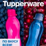 Спецпредложение месяца