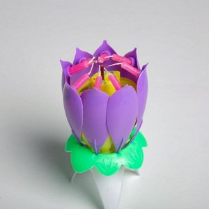 Свеча для торта музыкальная ""Тюльпан"", фиолетовая, 12×5 см
