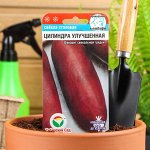 Семена Свекла &quot;Цилиндра улучшенная&quot;, 2 г