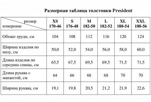 Толстовка на молнии President, цвет серый