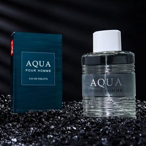 Туалетная вода мужская AQUA, 100 мл