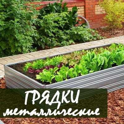 Оцинкованные грядки - ДАЧНЫЙ СЕЗОН: предвкушение лета на даче. Садовый ...