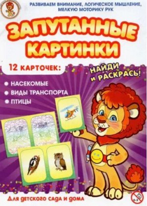 Насекомые,виды транспорта,птицы