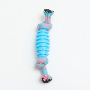 Игрушка жевательная "Элемент", 17 х 3,2 см, голубая/розовая