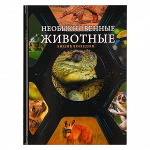 УИД Книга "Энциклопедия", картон, бумага, 96 стр., 16, 5х22см, 4 дизайна