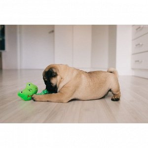 Игрушка мягкая для собак "Лягушка с канатом", с пищалкой, 18 см, зелёная