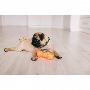 Игрушка пищащая "Гантель с лапками" для собак, 13 см, оранжевая