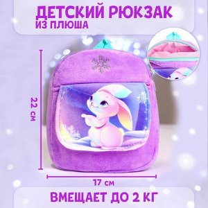 Рюкзак детский плюшевый «Зайка и снежинка» с карманом, 22?17 см