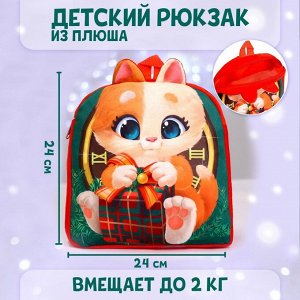 Рюкзак детский плюшевый «Котик с подарком», 24?24 см