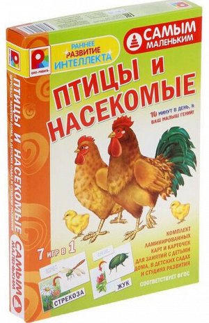 Самым маленьким .Птицы и насекомые .Игра развивающая для детей.