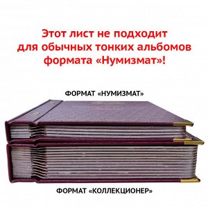 Albonumismatico Лист № 6  «Биметаллические юбилейные и памятные монеты России. 10 рублей». Серия «professional» (2009-2011).