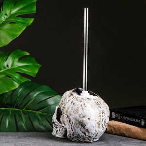 Ёршик для унитаза с подставкой «Череп», стальная ручка, 16x15x22 см, белый