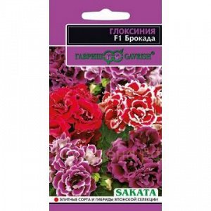 Глоксиния Брокада F1 смесь махровая (Гавр)