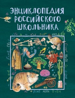 Энциклопедия российского школьника 256стр., 263х200х25мм, Твердый переплет