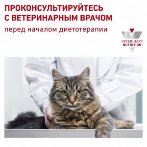 Сухой корм RC Urinary S/O LP 34 Feline для кошек с МКБ, 400 г
