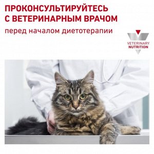 Сухой корм RC Gastro Intestinal 32 Feline для кошек с нарушеннием ЖКТ, 400 г