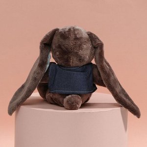 Мягкая игрушка «Малыш Lu в жилете», заяц, 25 см