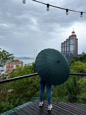 Зонт ЗОНТ трость - это не только защита от дождя, но и стильный аксессуар 
для мужчины и женщины.

ДИАМЕТР: 113 см.

ДЛИНА: 82 см.

ЦВЕТ: ЗЕЛЕНЫЙ.

❗ВАЖНО: автоматическое подтверждение заказа  только 