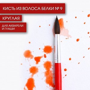 Кисть для рисования из волоса белки круглая № 9 короткая ручка