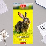 Календарь перекидной на ригеле &quot;Символ года - 1&quot; 2023 год, 16,5 х 34 см