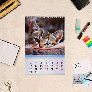Календарь на пружине "Котята" 2023 год, 17х25 см