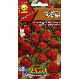 Земляника  Рюген (Аэлита)