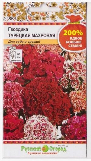 Гвоздика Турецкая Махровая (Код: 67903)