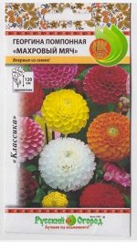 Георгина Махровый Мяч (смесь) (Код: 68691)