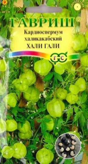 Кардиоспермум халикакабский Хали Гали (Код: 86973)