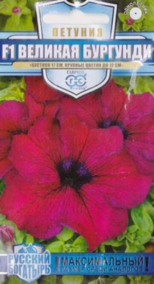 Петуния Великая Бургунди F1 (Код: 87000)