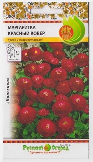 Маргаритка Красный ковер (Код: 163)