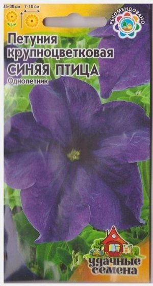 Петуния Синяя птица (Код: 16791)
