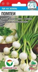 Лук Батун Помпеи (Код: 89604)