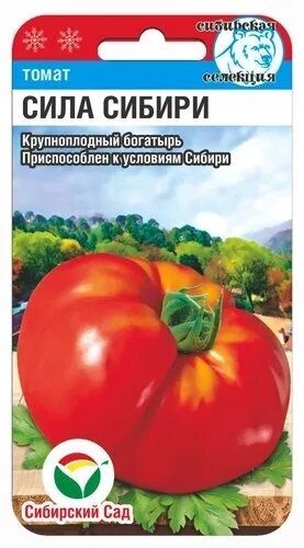 Томат Сила Сибири (Код: 89895)
