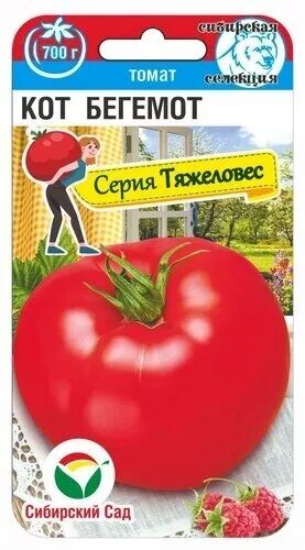Томат Кот Бегемот (Код: 89883)