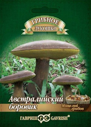 Грибы Боровик австралийский на зерновом субстрате (15мл) (Код: 89845)