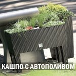 Кашпо с автополивом и вертикальный сад