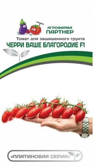 Томат Черри Ваше Благородие F1 / Гибриды томата черри и коктейльные