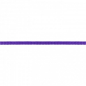 Стропа арт. 3857 рис. 9688 шир. 5 мм № 196 ДС светло-фиолетовый (17/19) (3,3 г/м)