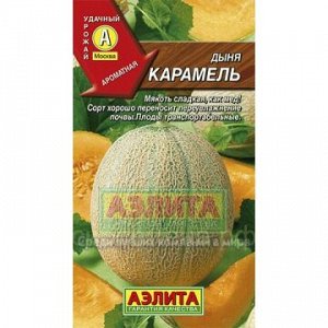 Дыня Карамель (Аэлита)